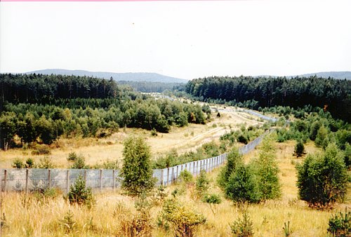 zaun_lang.tif